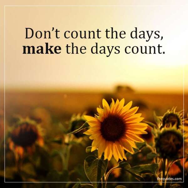 dont count the days...jpg