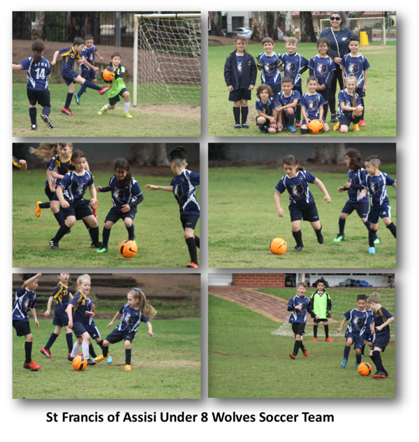 Under 8 wolves soccer team.png