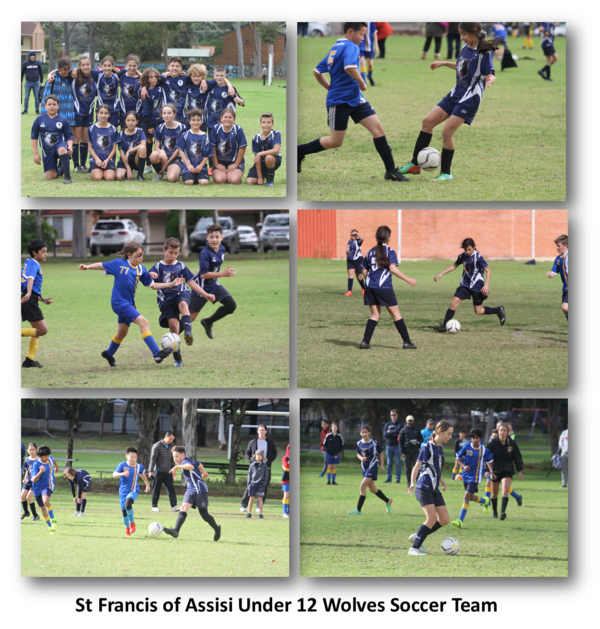 Under 12 wolves soccer.png